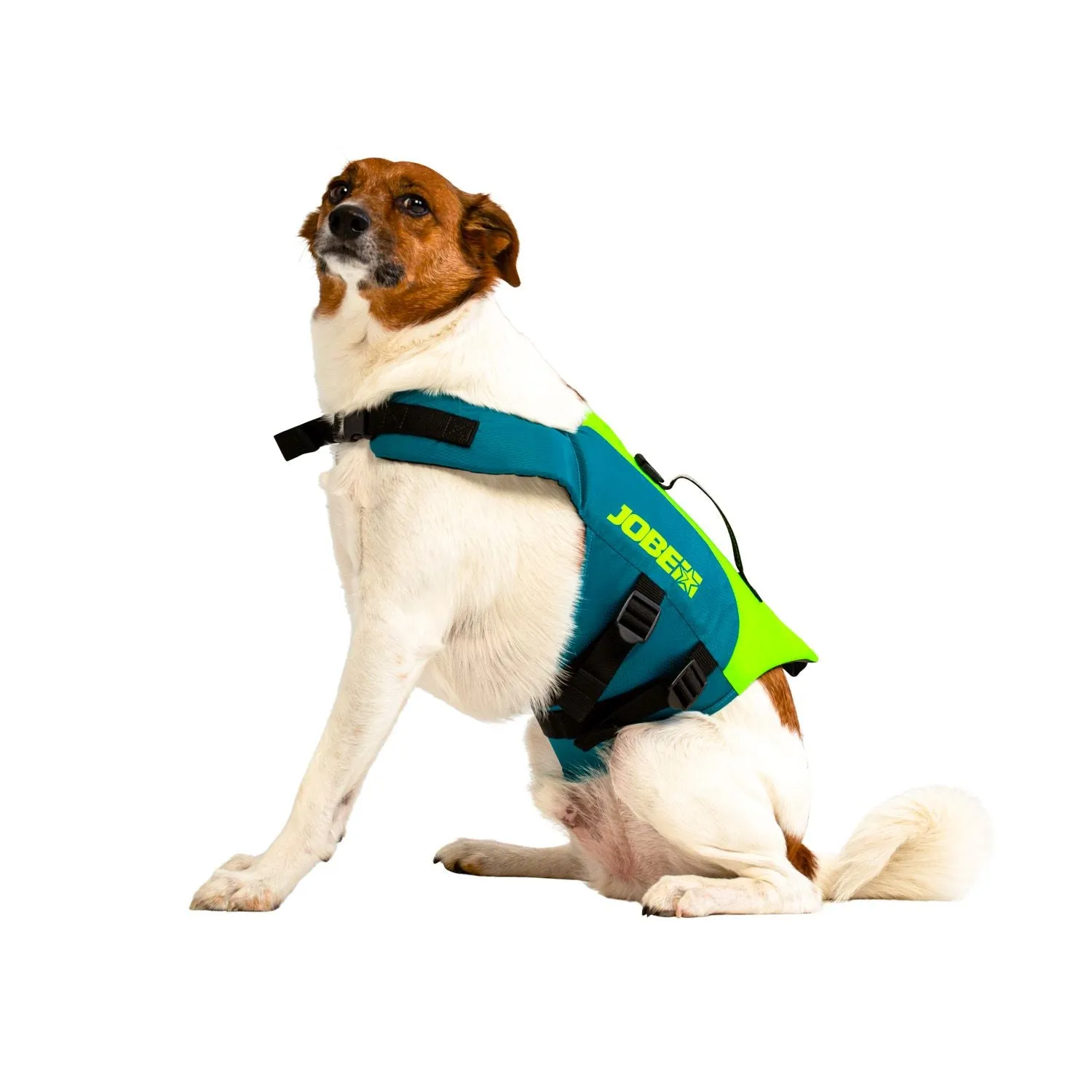 Jobe Pet Vest Buoyancy Aid