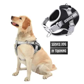 Personalized Reflective Nylon Dog Chest Strap | Large Dog Vest Style