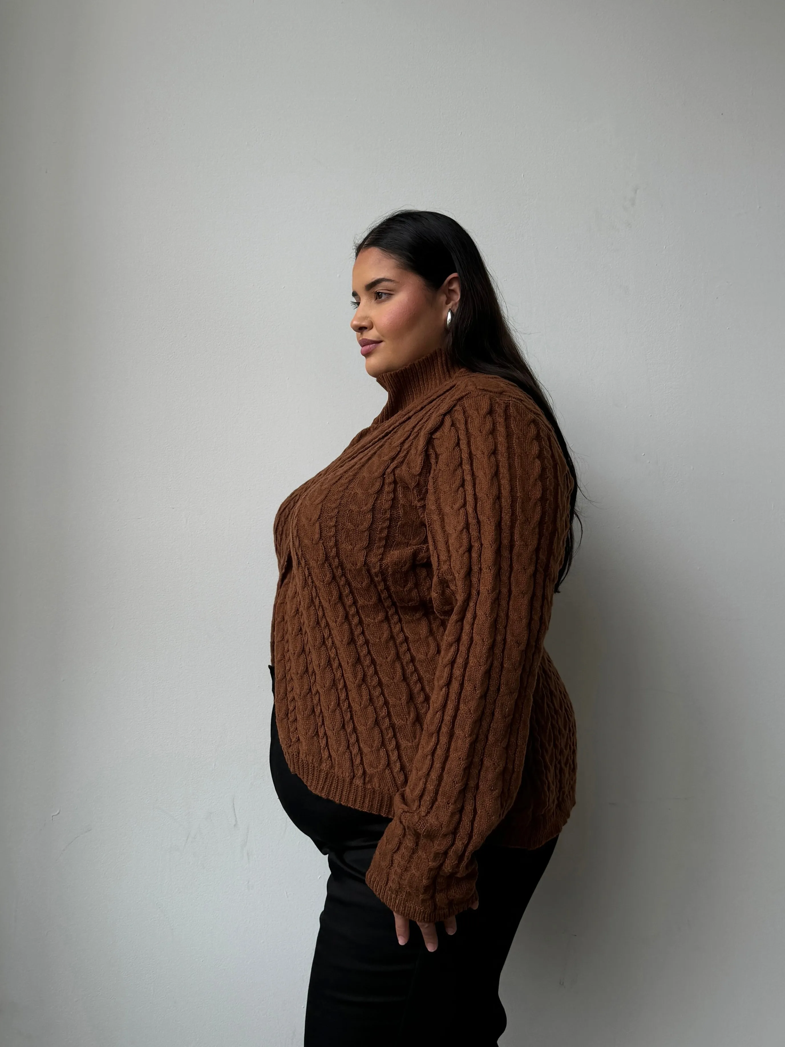 Plus Size Cable Knit Turtleneck Sweater