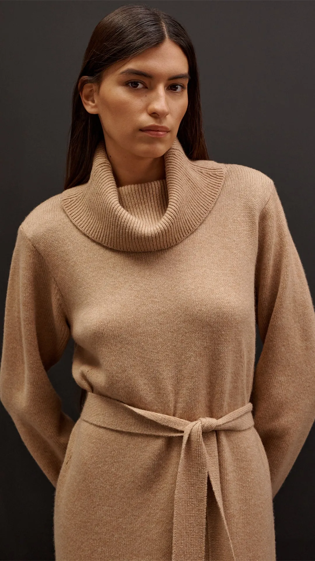 Turtleneck Dress in Wool-Cashmere | Camel